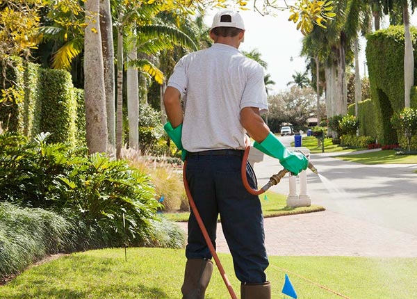 About Flagler CO Pest Control Pros